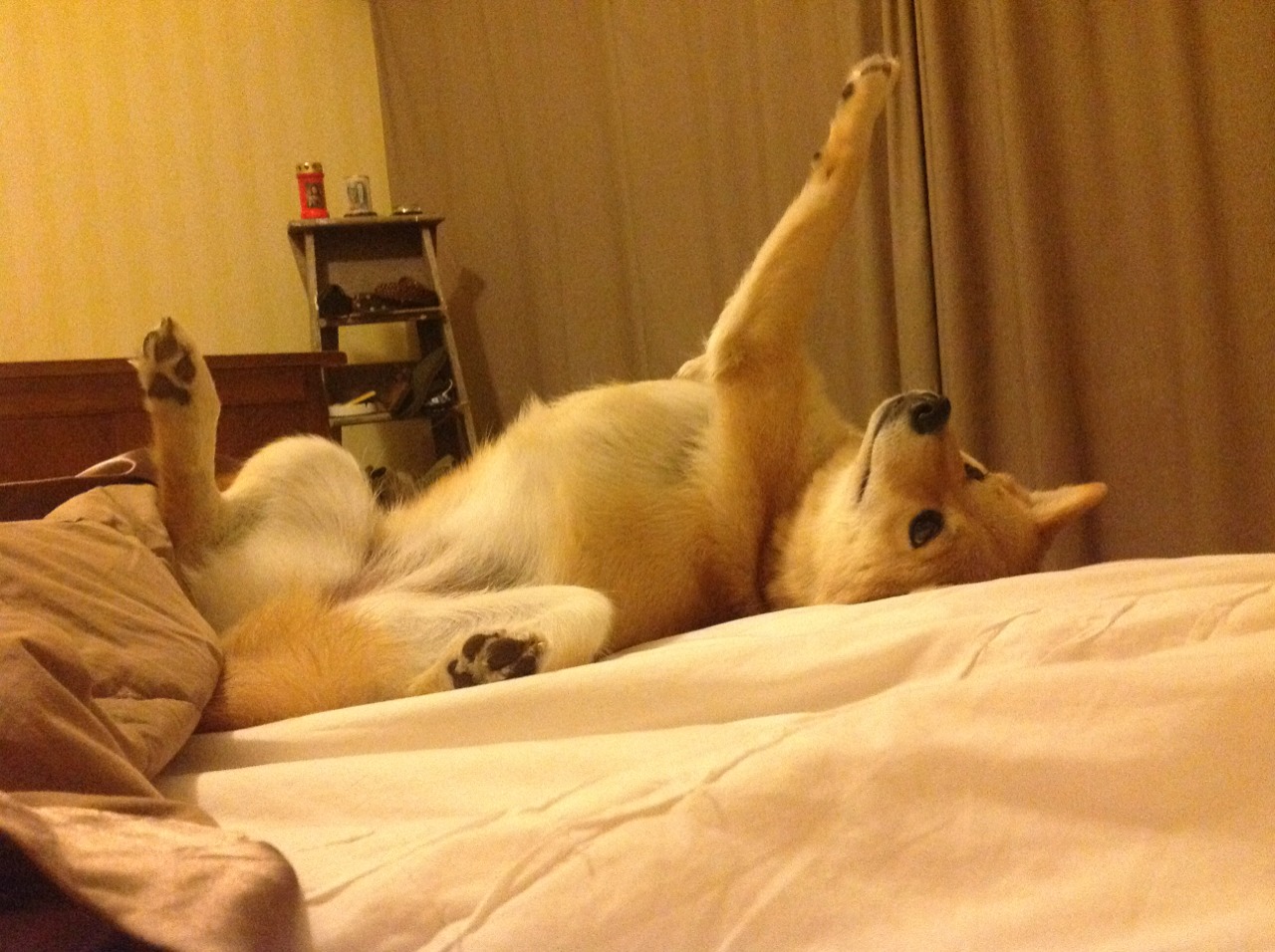 FB体育在线-_未来体育论坛：引领行业创新的大会_，未来体育app下载