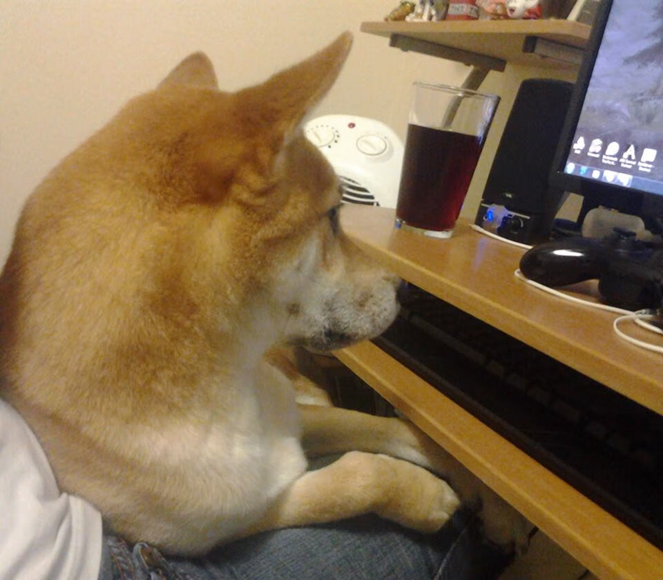 FB体育注册网址-_湖人队全面开花，逐渐走出低迷_，湖人队出场