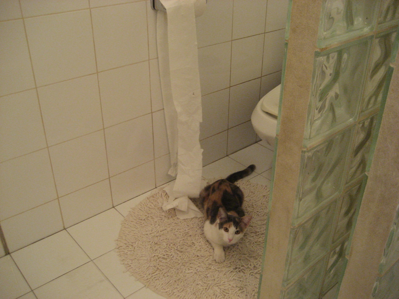 fb体育平台安全-英格兰替补奇兵绝杀，全场沸腾，英格兰3名替补全部罚丢点球