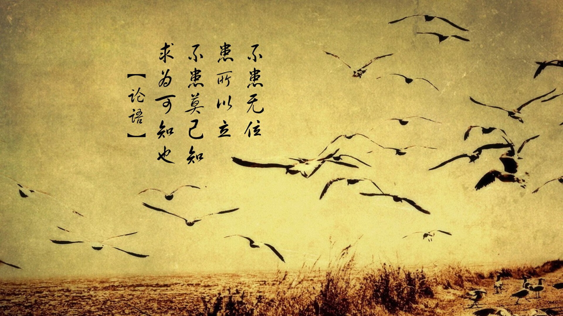 FB体育官方网站-中国足球的球迷文化活动策划，中国足球的球迷们现在真的感到迷惘,面对