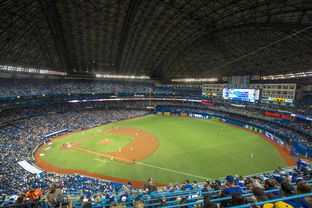 FB体育在线-世界击剑锦标赛中国女花首次进四强，击剑世界冠军女