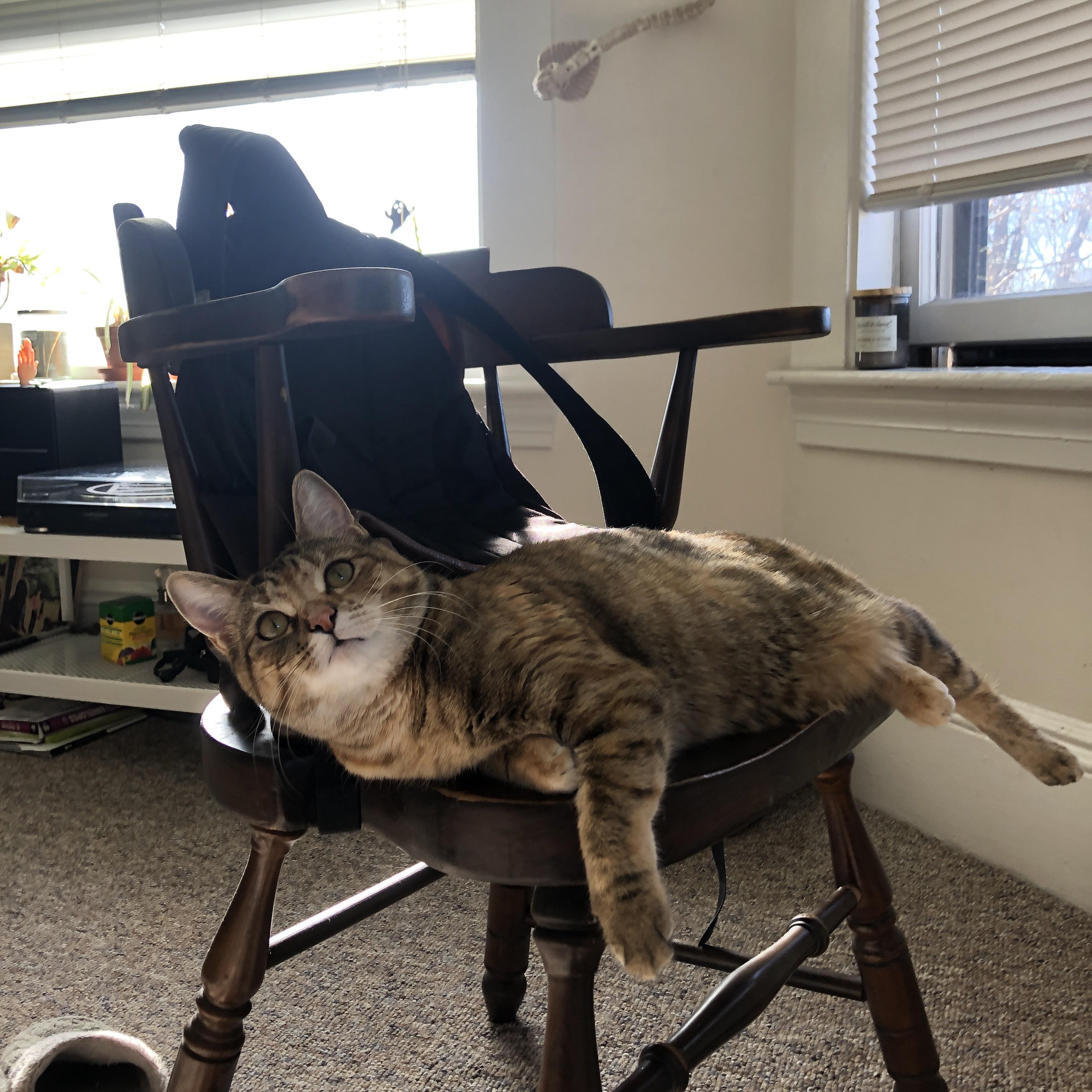 FBSPORTS-体育智能穿戴设备对运动表现的影响分析,智能穿戴设备的目的是什么