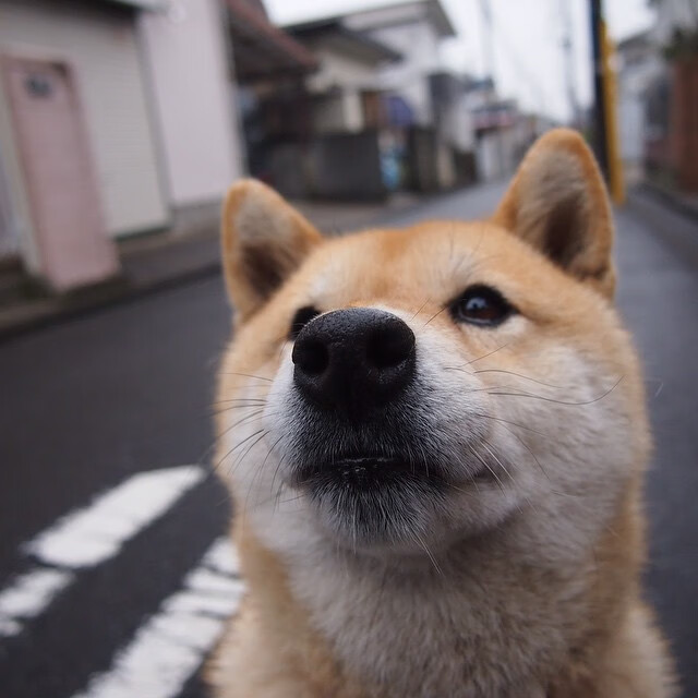 FB体育注册网址-新闻中心发布年度战略规划，战略部署会议新闻稿