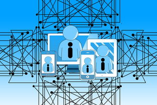 FB体育娱乐-篮球专项技能教学中的技术动作细化分析，篮球动作技能理论知识