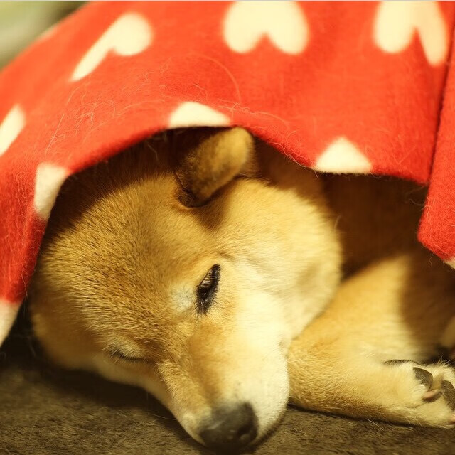 FB体育app下载-“水上救生：三叉湖游泳馆上演生命与速度的较量”