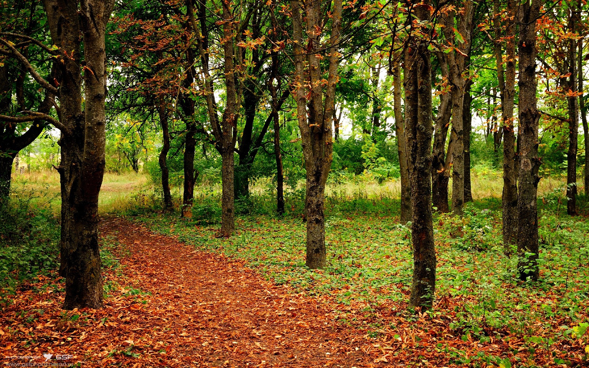 FB体育在线直播平台-体育新闻中心发布体育主题融媒体叙事方式研究报告，全体育媒体