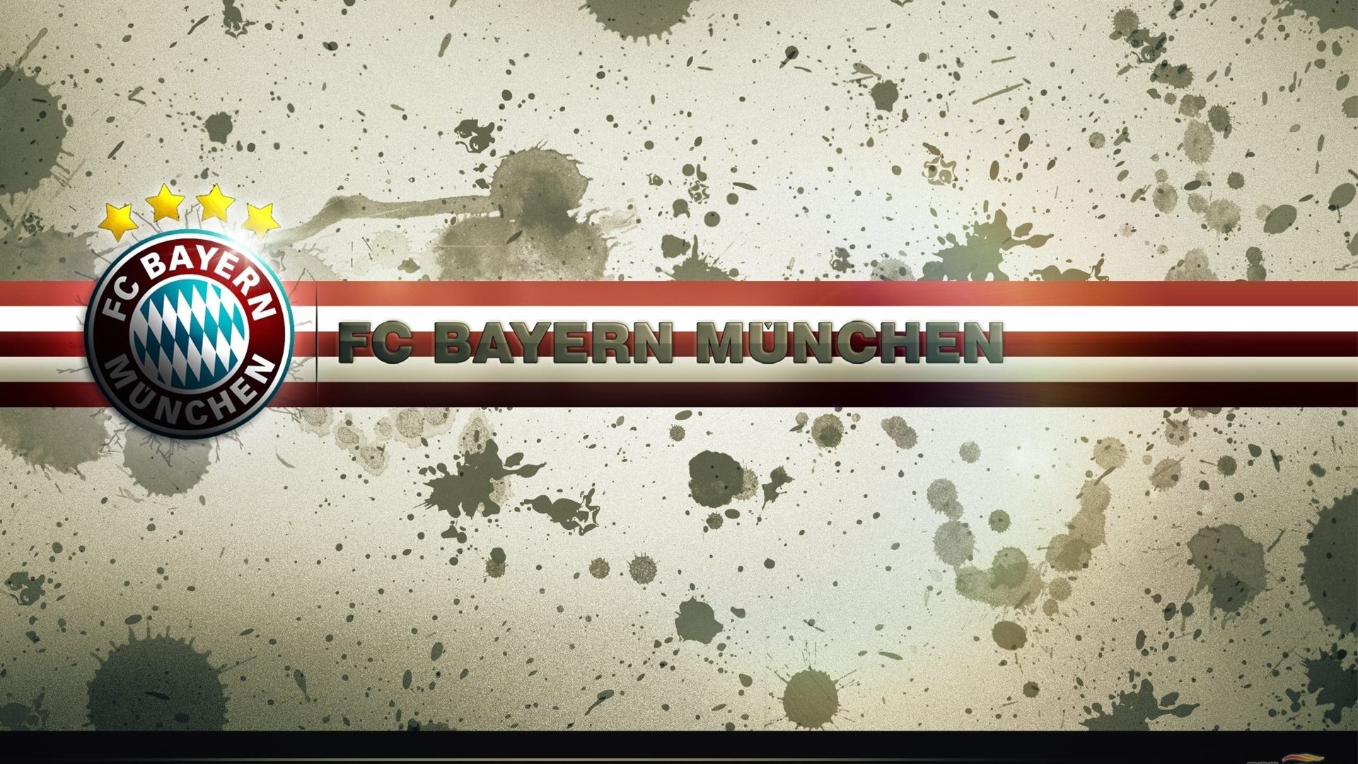 实时更新-全民健身嘉年华：全民参与的健康狂欢，全民健身展示